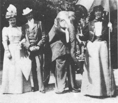 Gartenfest im Park der Villa Seefeld um 1890. Im Elefantenkostuem steckt der Koenig von Wuertemberg. Photo: P. Labhart