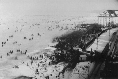 Blick vom Idyll nach Osten zum Kornhaus Rorschach