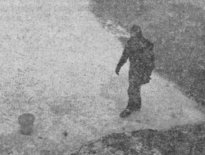 Seegfroerni 1963: Vogelrettungsaktion, Taucher im Gummianzug