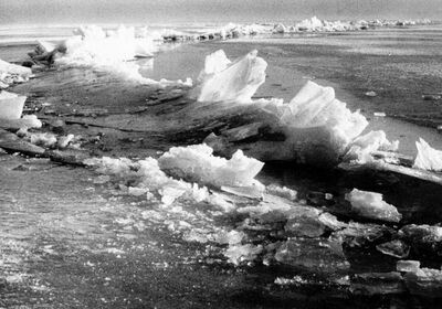 Seegfroerni 1963 Eisschollen auf dem Bodensee