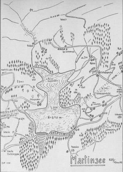 Der projektierte Martinsee und die Staumauer im Goldachtobel, aus der Vogelschau gesehen