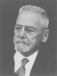 Henry-Levy Diem, Industrieller, Rorschach